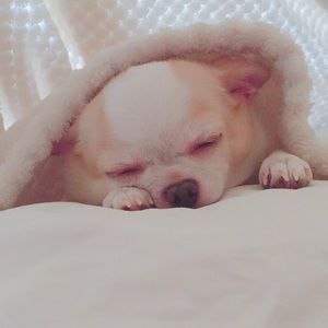 Meet your Posher, Daniela